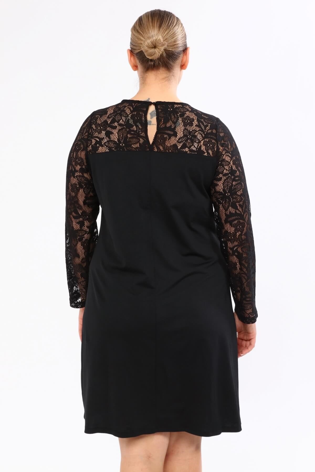 Omuzu ve Kolları Dantelli Elbise